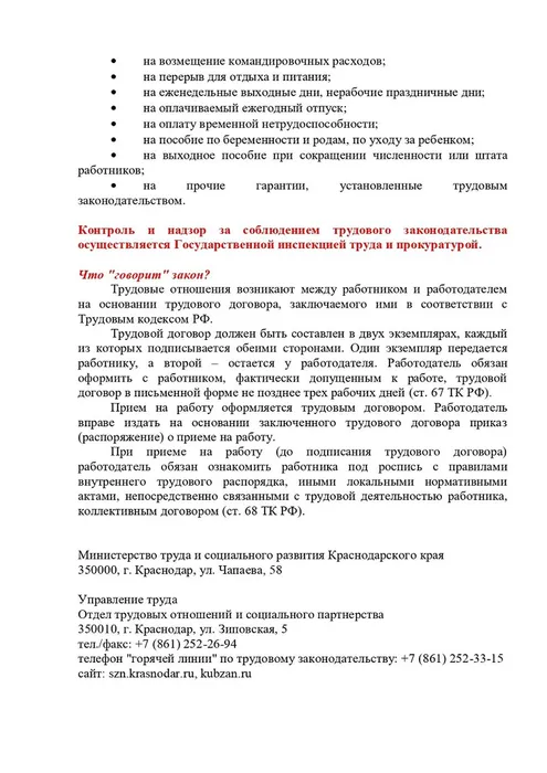 Трудовой договор_page-0002